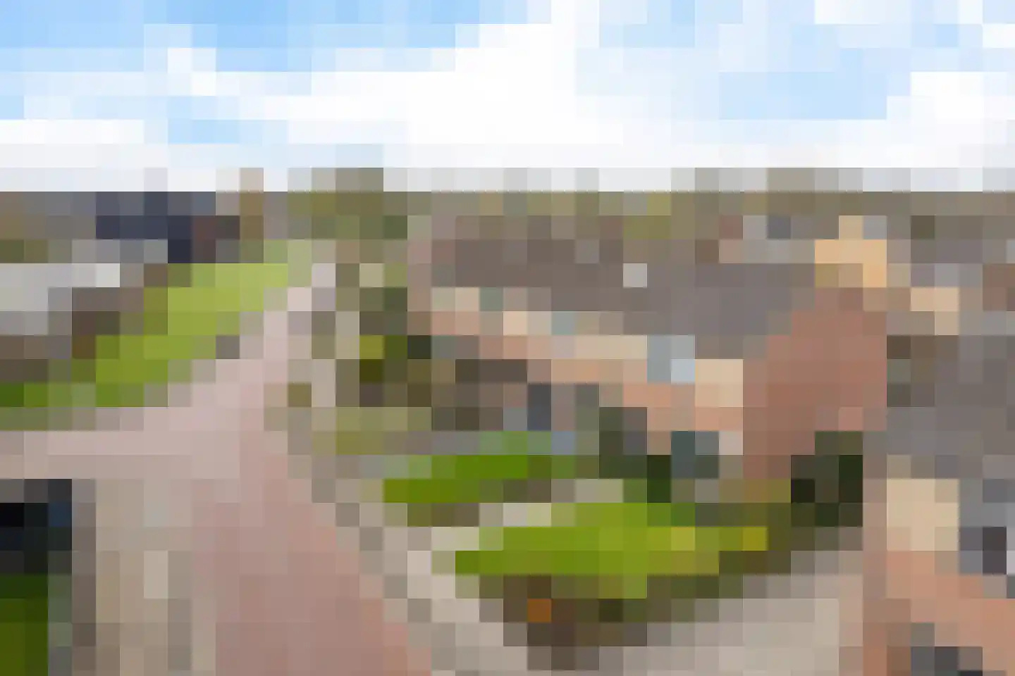 Boekweitpaed 44 Ureterp thumbnail 49