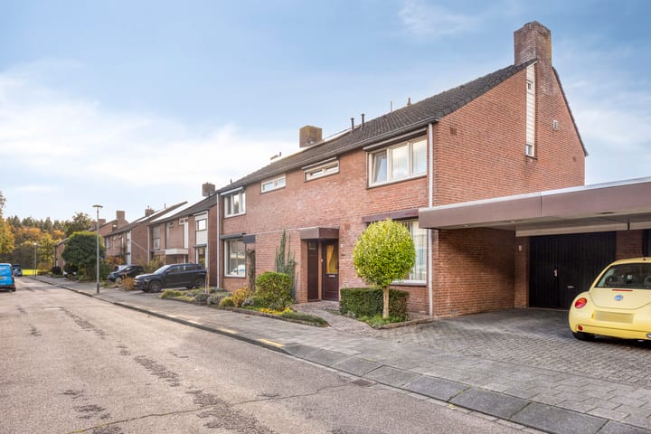 Boekweitsdries 10 in Swalmen photo