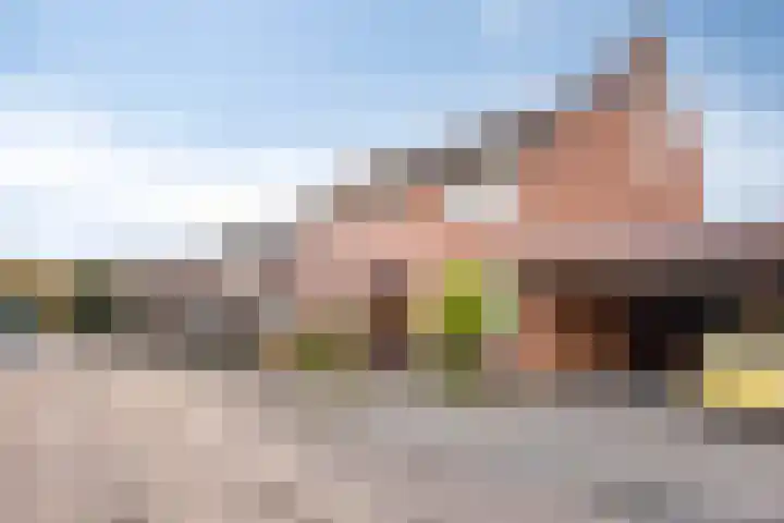 Boekweitsdries 10 Swalmen