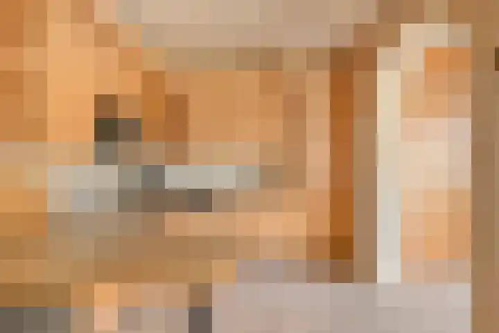 Boekweitsdries 10 Swalmen thumbnail 19
