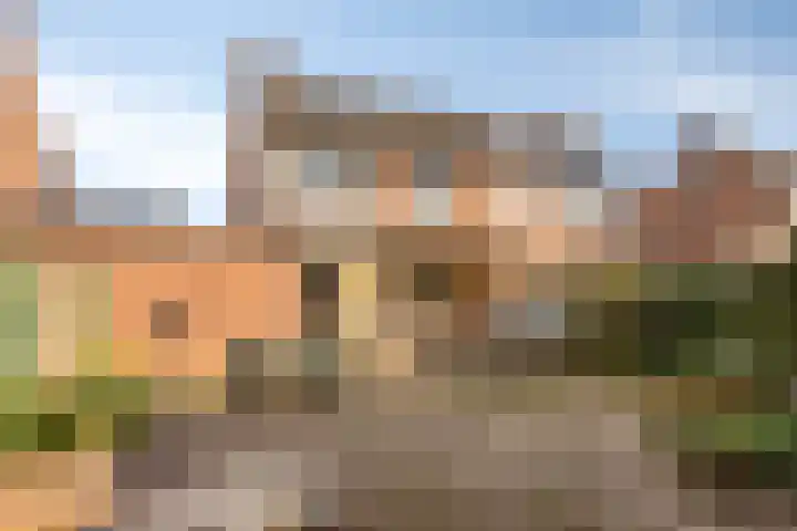 Boekweitsdries 10 Swalmen thumbnail 31