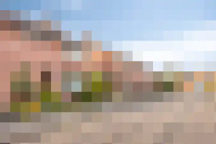 Boekweitsdries 10 Swalmen thumbnail 33
