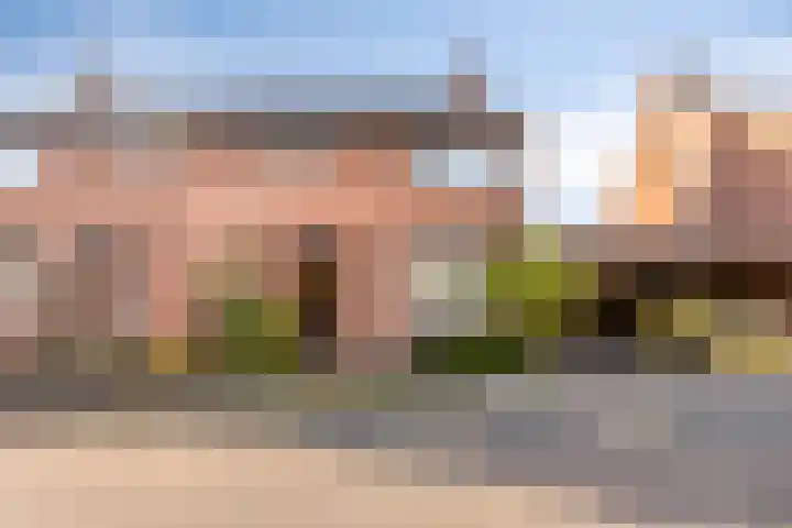 Boekweitsdries 10 Swalmen thumbnail 5