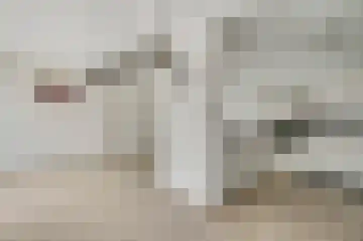 Boekweitsdries 15 Swalmen thumbnail 12