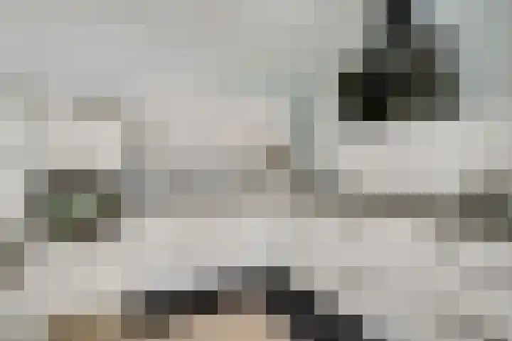 Boekweitsdries 15 Swalmen thumbnail 13