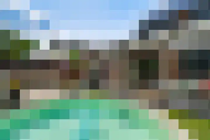 Boekweitsdries 15 Swalmen thumbnail 16