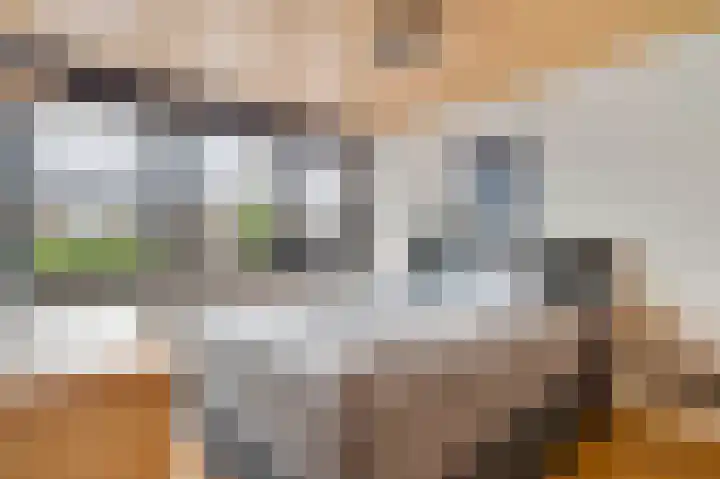 Boekweitsdries 15 Swalmen thumbnail 20
