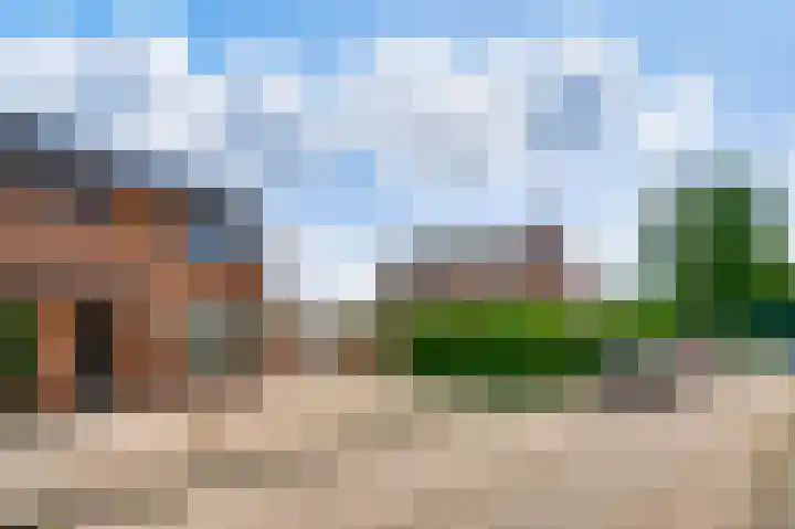 Boekweitsdries 15 Swalmen thumbnail 26