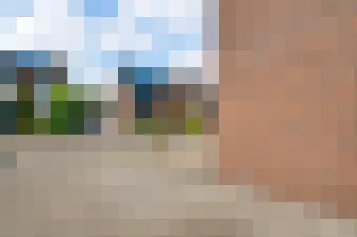 Boekweitsdries 15 Swalmen thumbnail 27