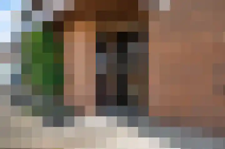 Boekweitsdries 15 Swalmen thumbnail 4
