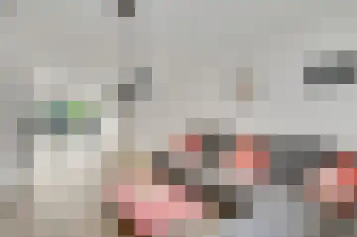 Boekweitsdries 15 Swalmen thumbnail 8