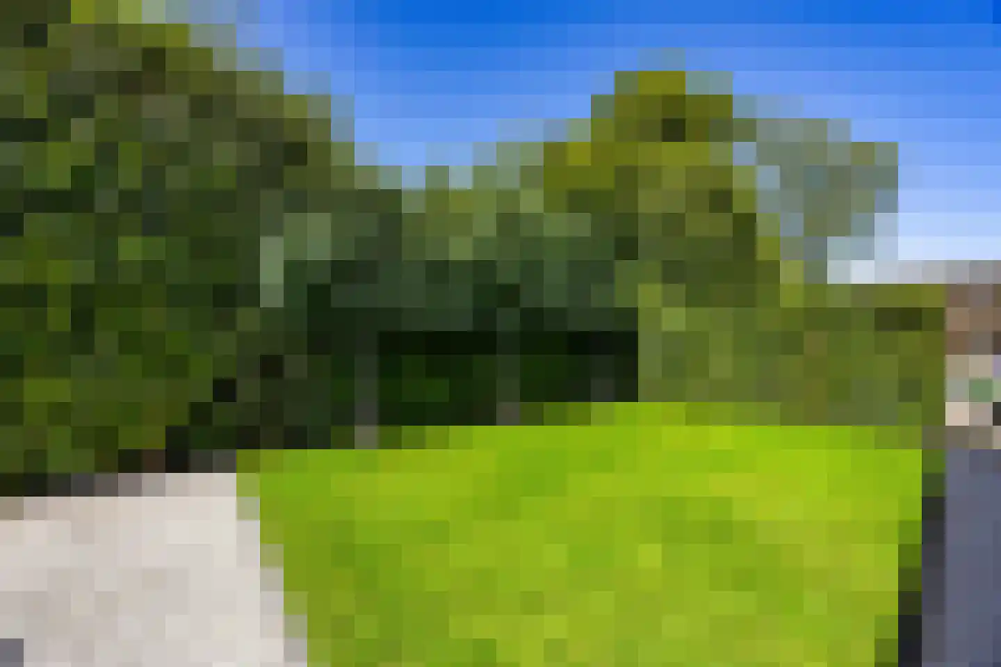 Boekweitskorrel 6 Laren thumbnail 14