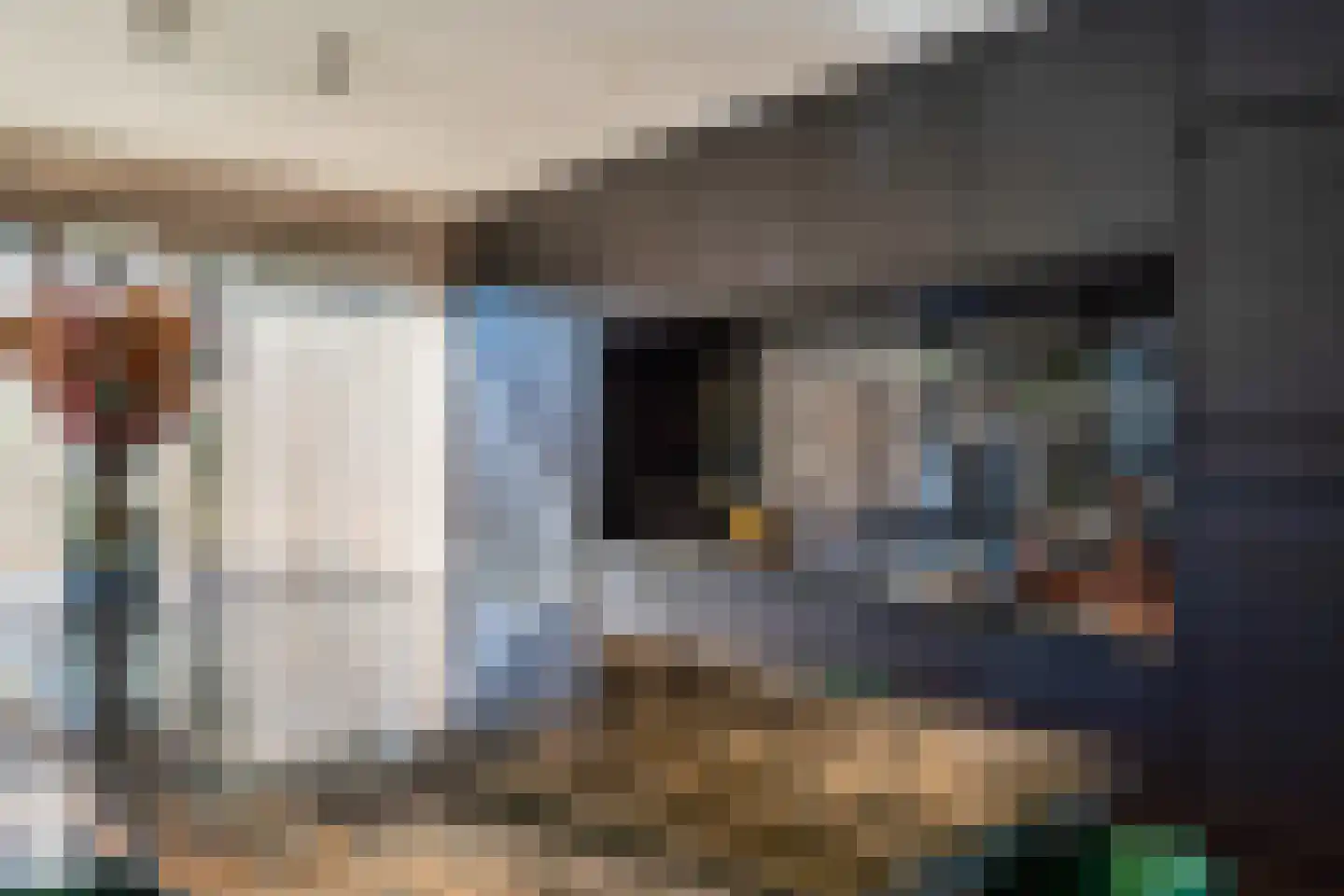 Boekweitskorrel 6 Laren thumbnail 14