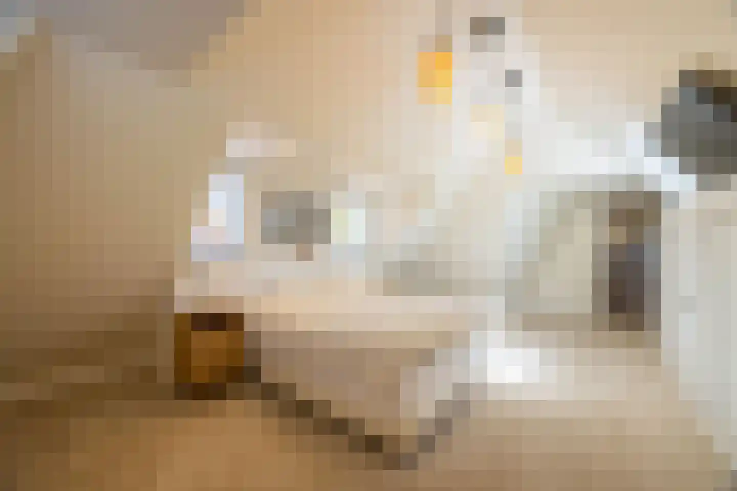 Boekweitskorrel 6 Laren thumbnail 22