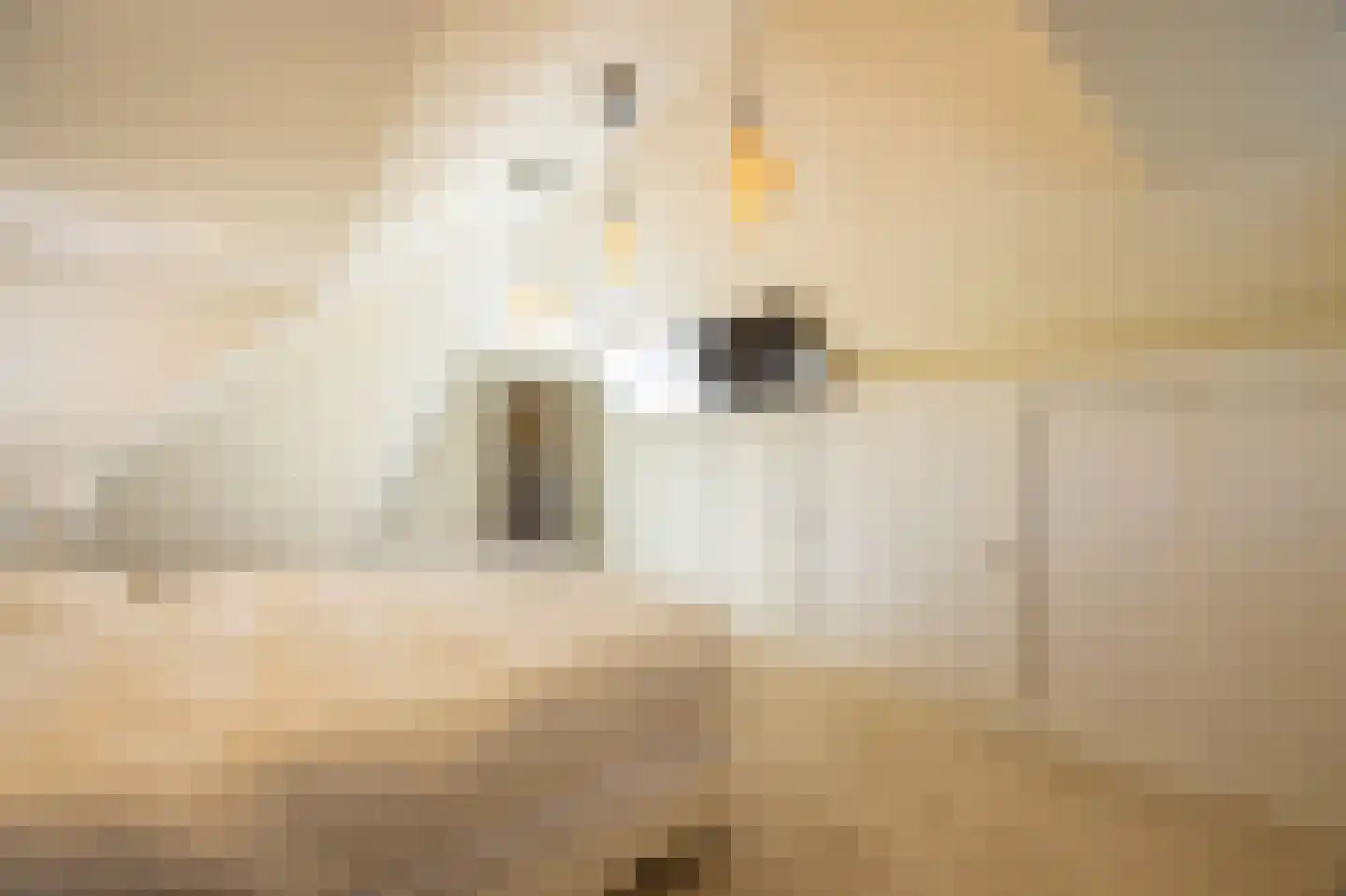 Boekweitskorrel 6 Laren thumbnail 24