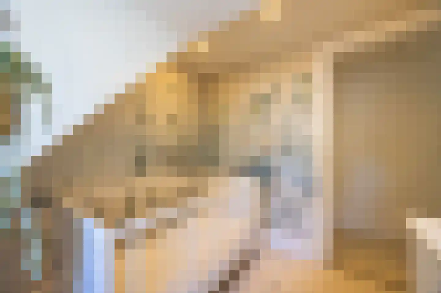 Boekweitskorrel 6 Laren thumbnail 27