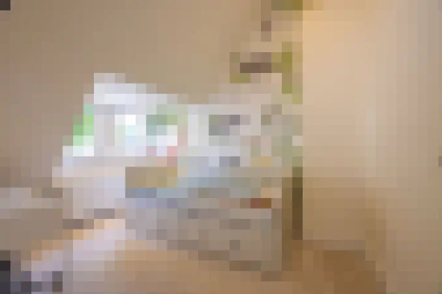 Boekweitskorrel 6 Laren thumbnail 28