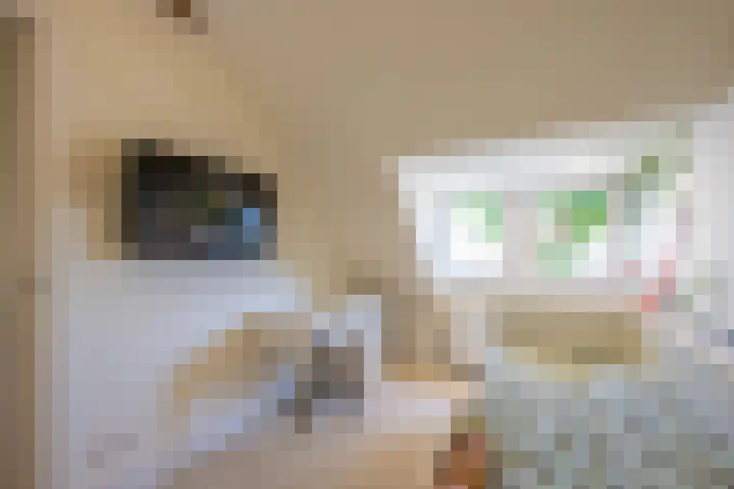 Boekweitskorrel 6 Laren thumbnail 29