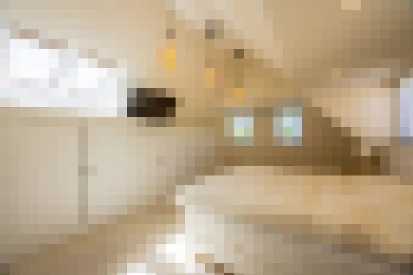 Boekweitskorrel 6 Laren thumbnail 33