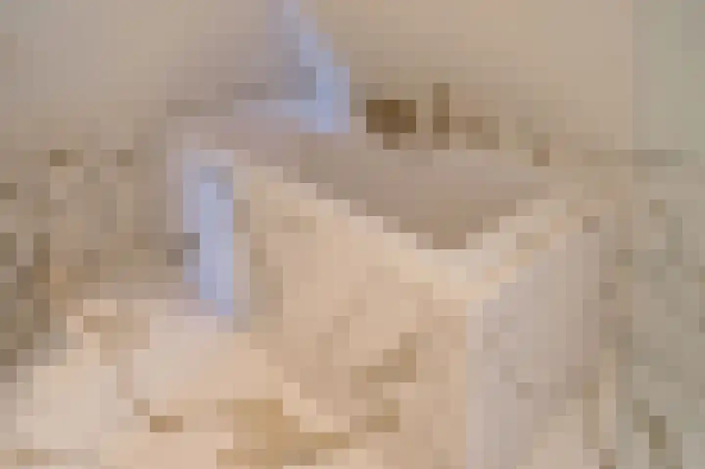 Boekweitskorrel 6 Laren thumbnail 35