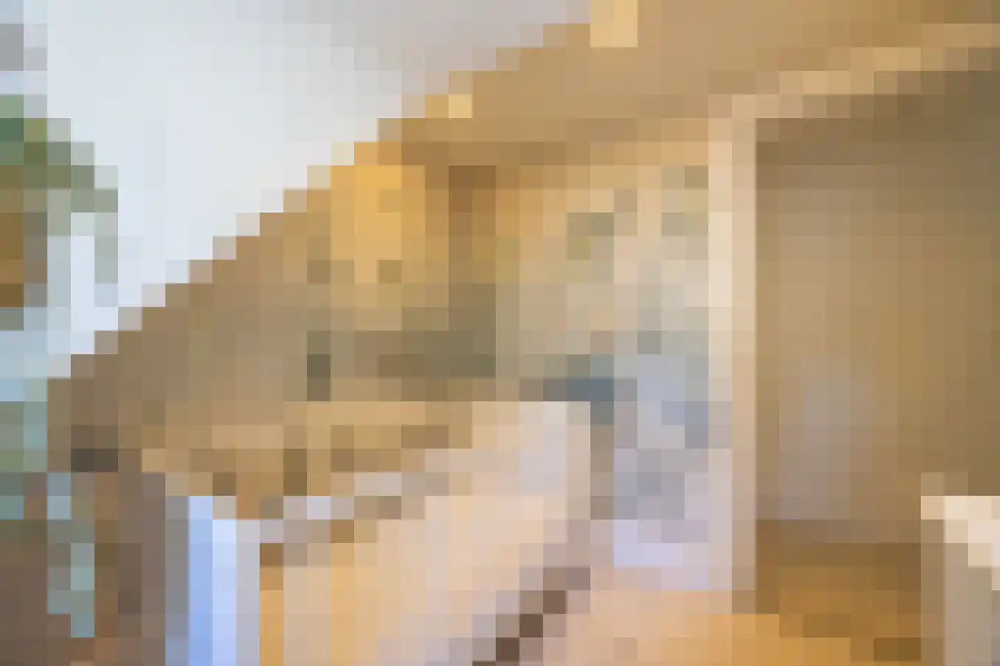 Boekweitskorrel 6 Laren thumbnail 40