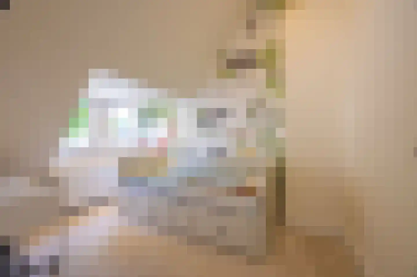 Boekweitskorrel 6 Laren thumbnail 41
