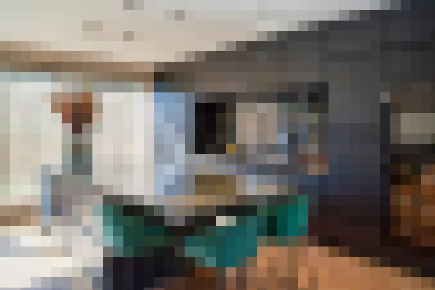 Boekweitskorrel 6 Laren thumbnail 9