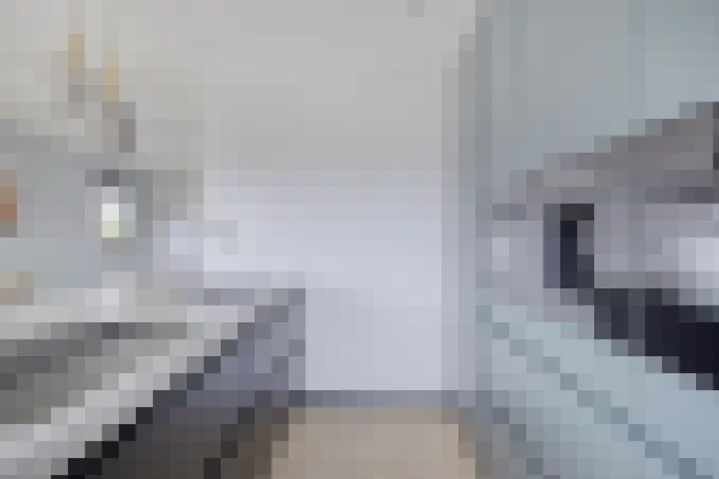 Boekweitstraat 1 Nieuw-Balinge thumbnail 10