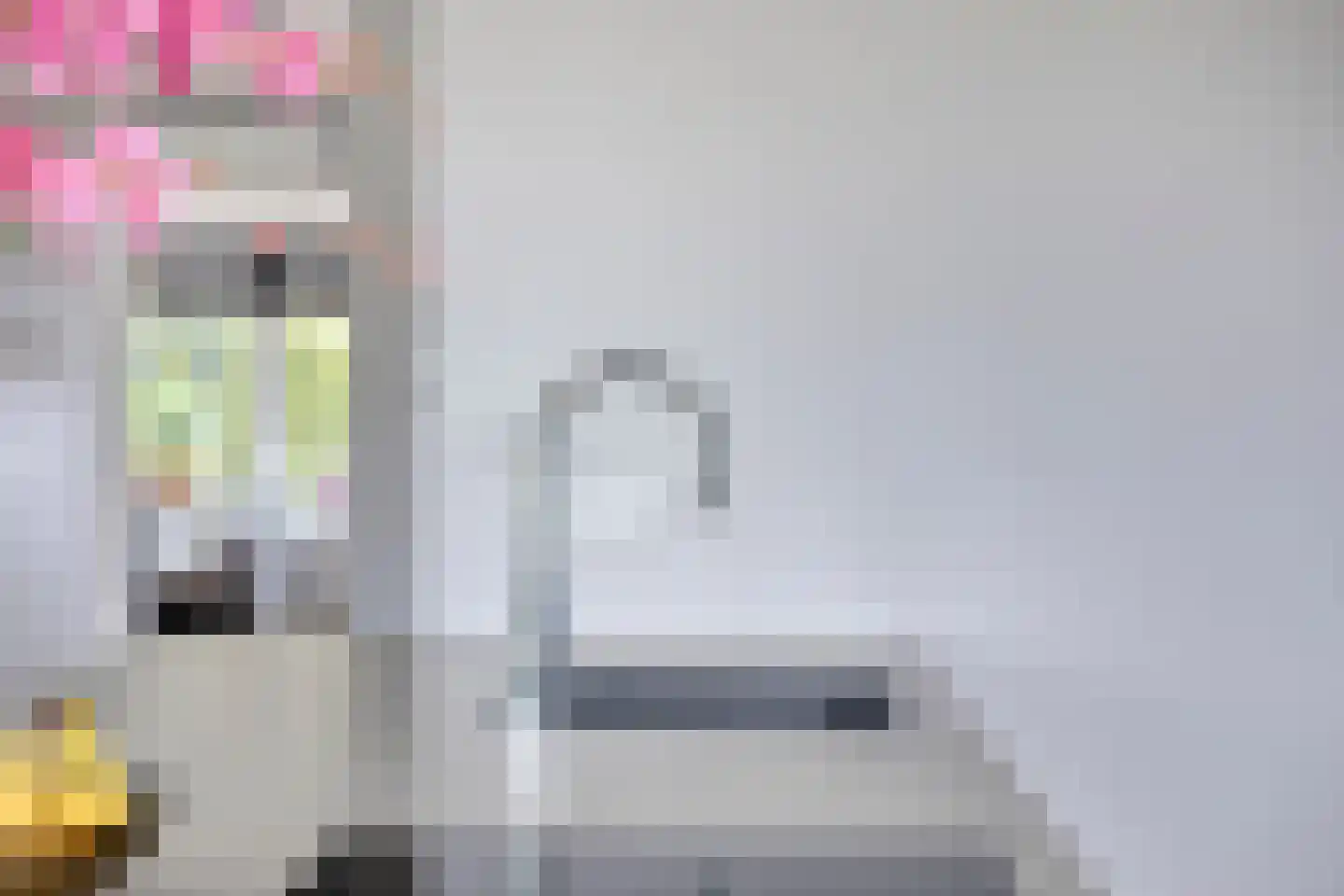 Boekweitstraat 1 Nieuw-Balinge thumbnail 11