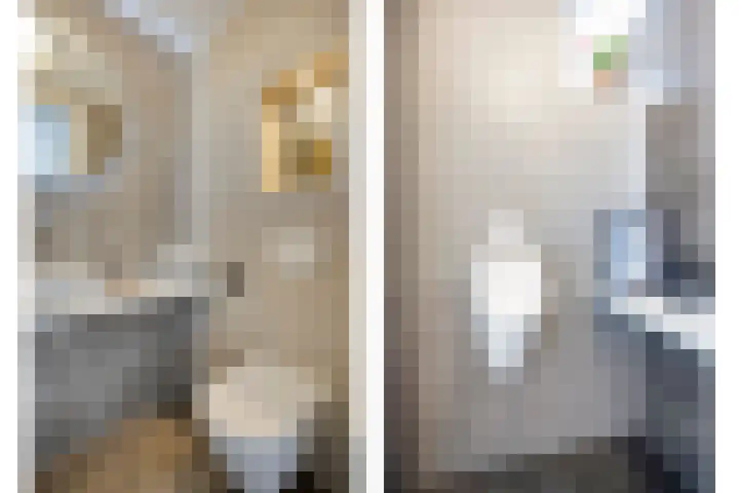 Boekweitstraat 1 Nieuw-Balinge thumbnail 19