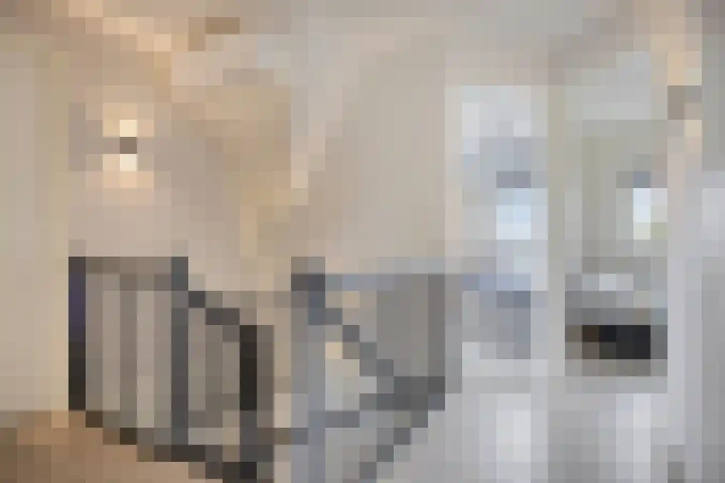 Boekweitstraat 1 Nieuw-Balinge thumbnail 21