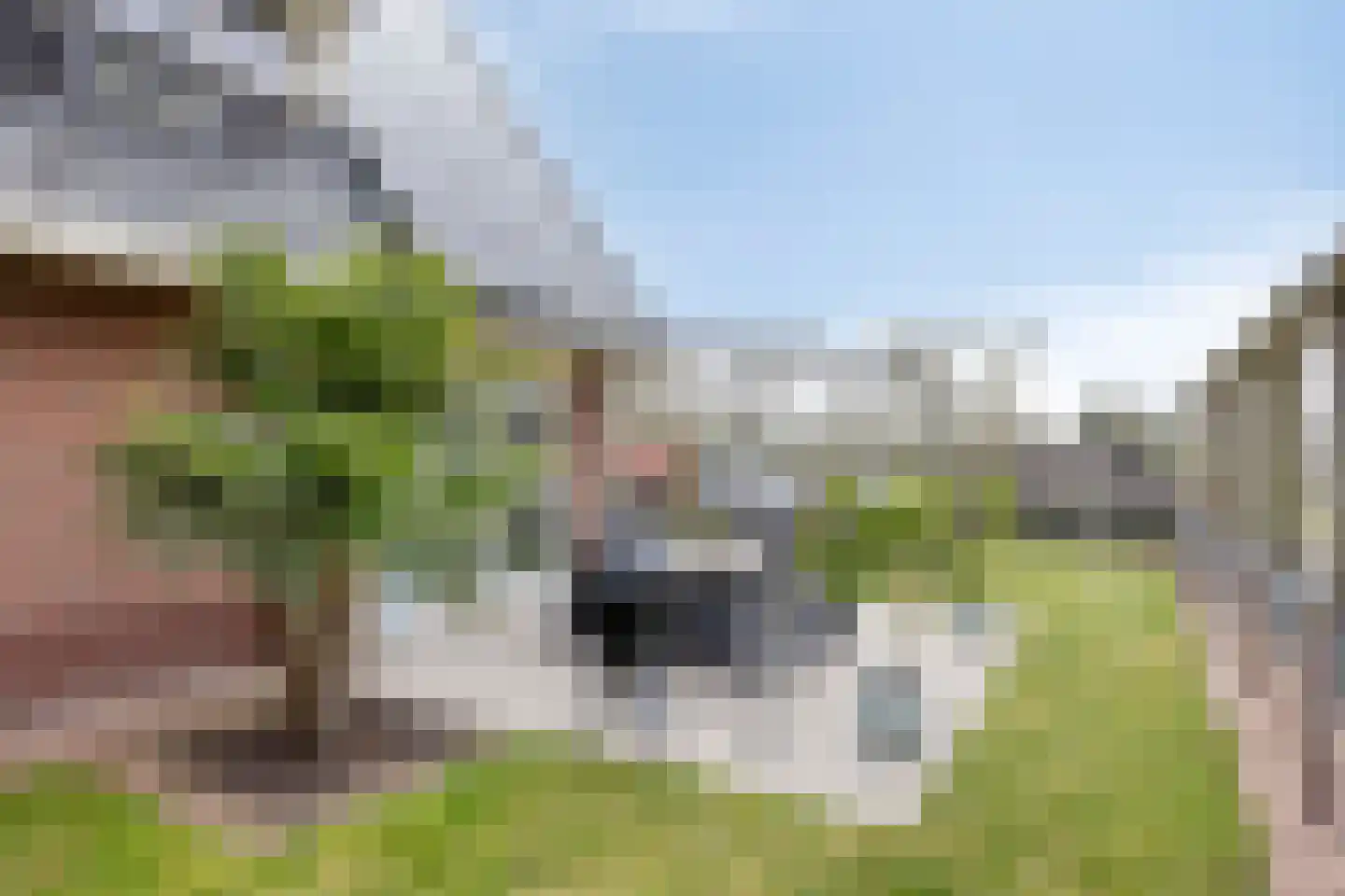Boekweitstraat 1 Nieuw-Balinge thumbnail 38