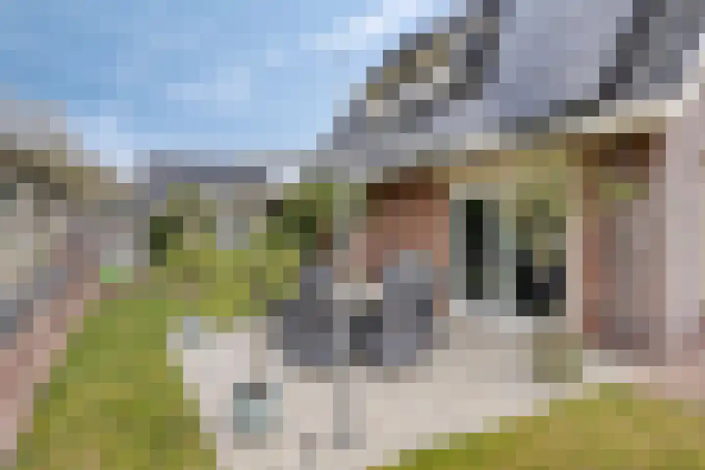 Boekweitstraat 1 Nieuw-Balinge thumbnail 40