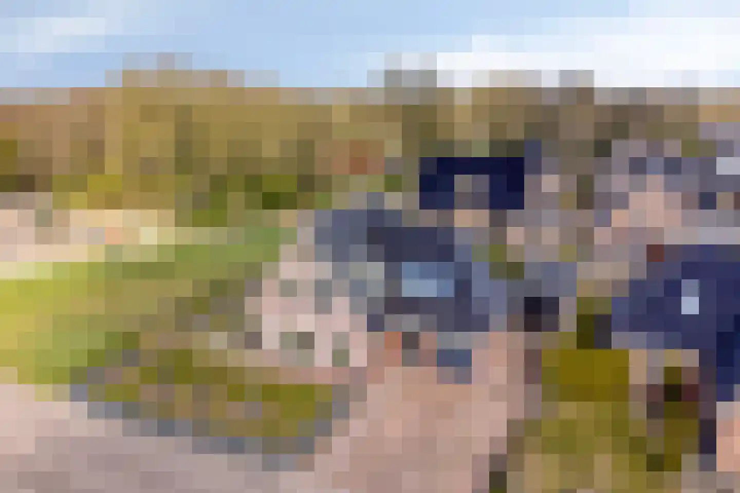 Boekweitstraat 1 Nieuw-Balinge thumbnail 46