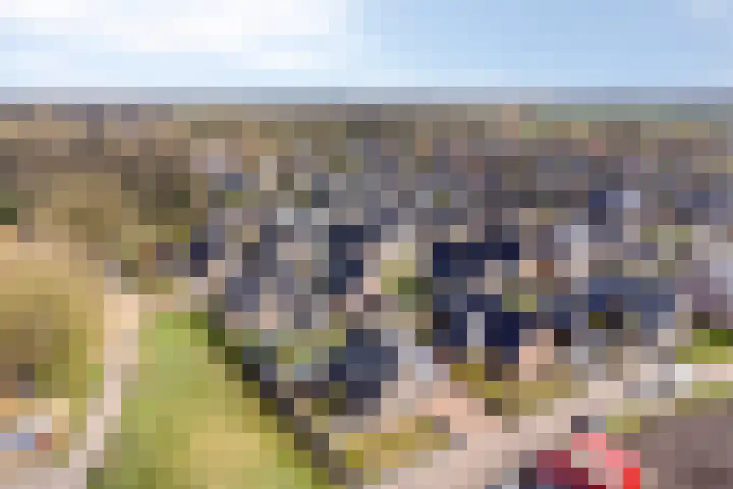 Boekweitstraat 1 Nieuw-Balinge thumbnail 47