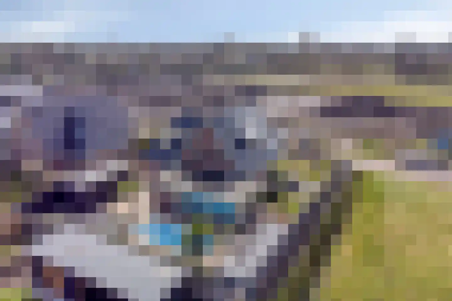 Boekweitstraat 1 Nieuw-Balinge thumbnail 48