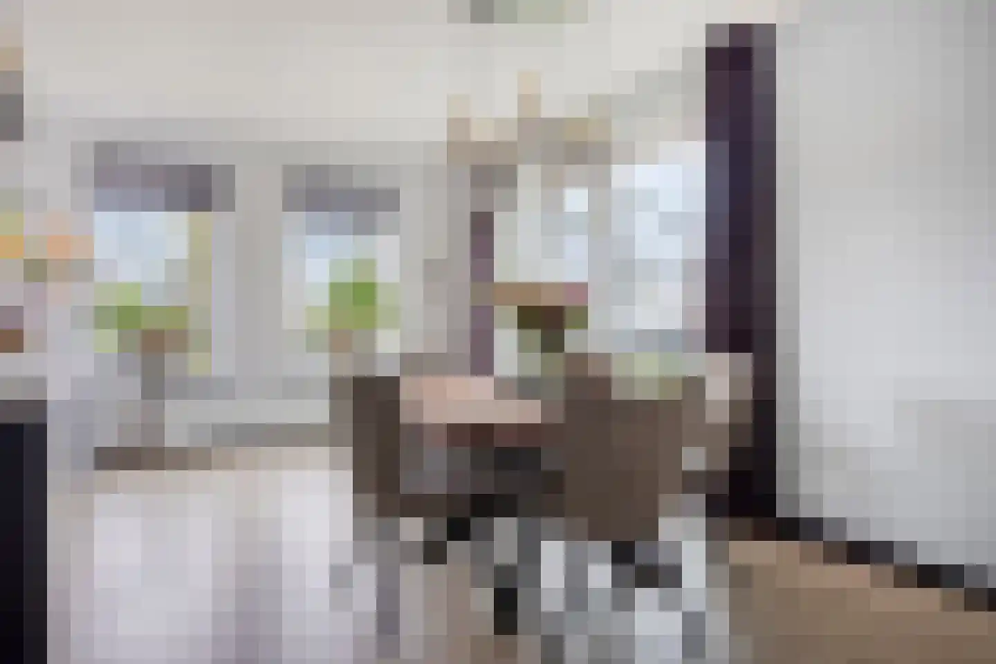 Boekweitstraat 1 Nieuw-Balinge thumbnail 8