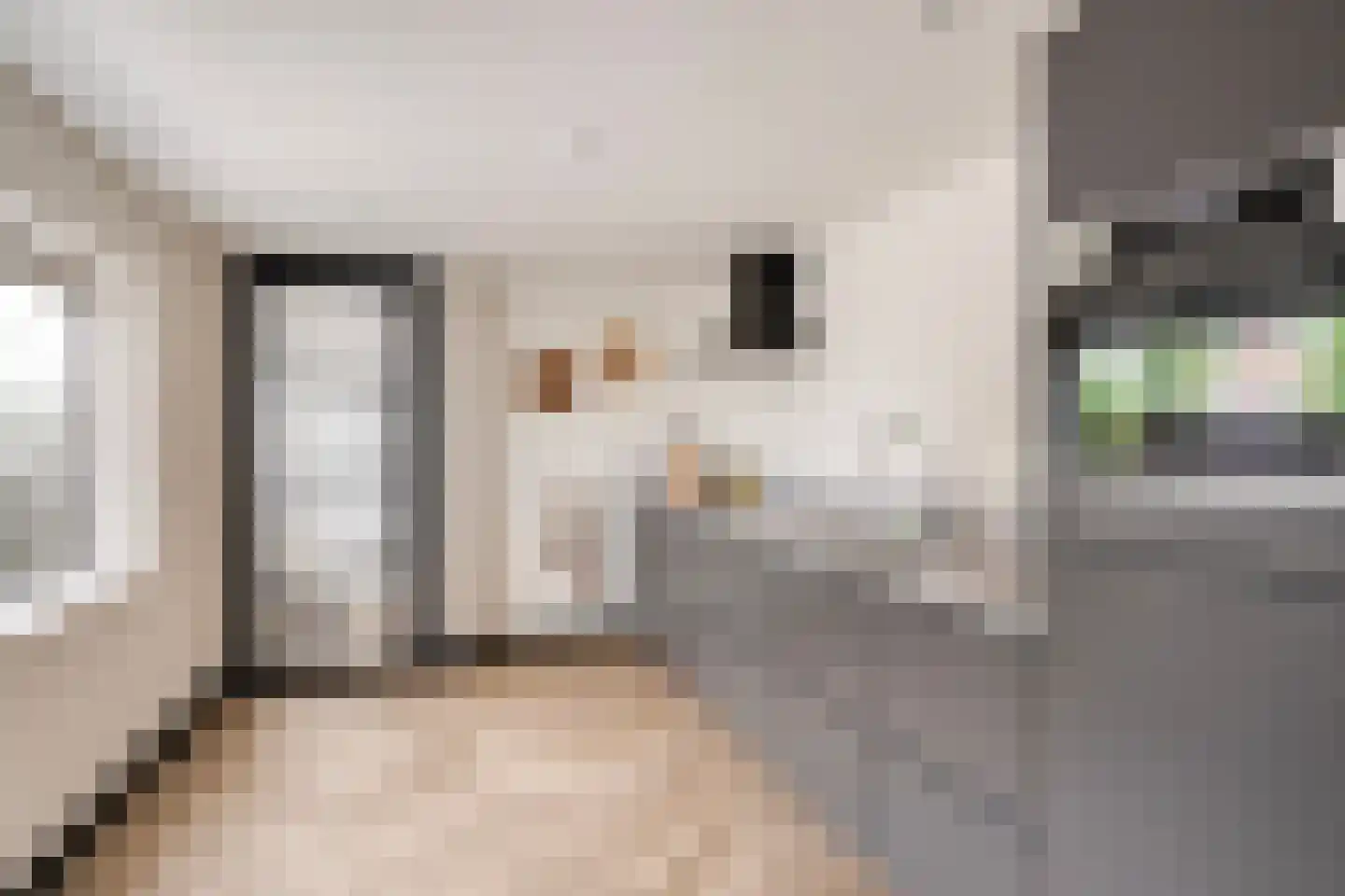 Boekweitstraat 1 Nuland thumbnail 12