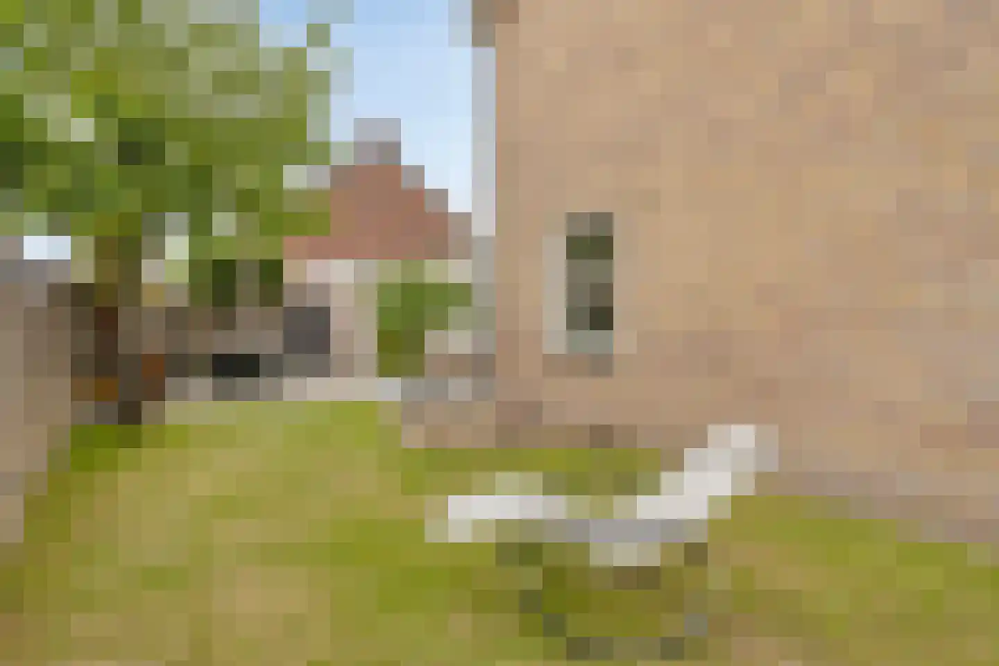 Boekweitstraat 1 Nuland thumbnail 30
