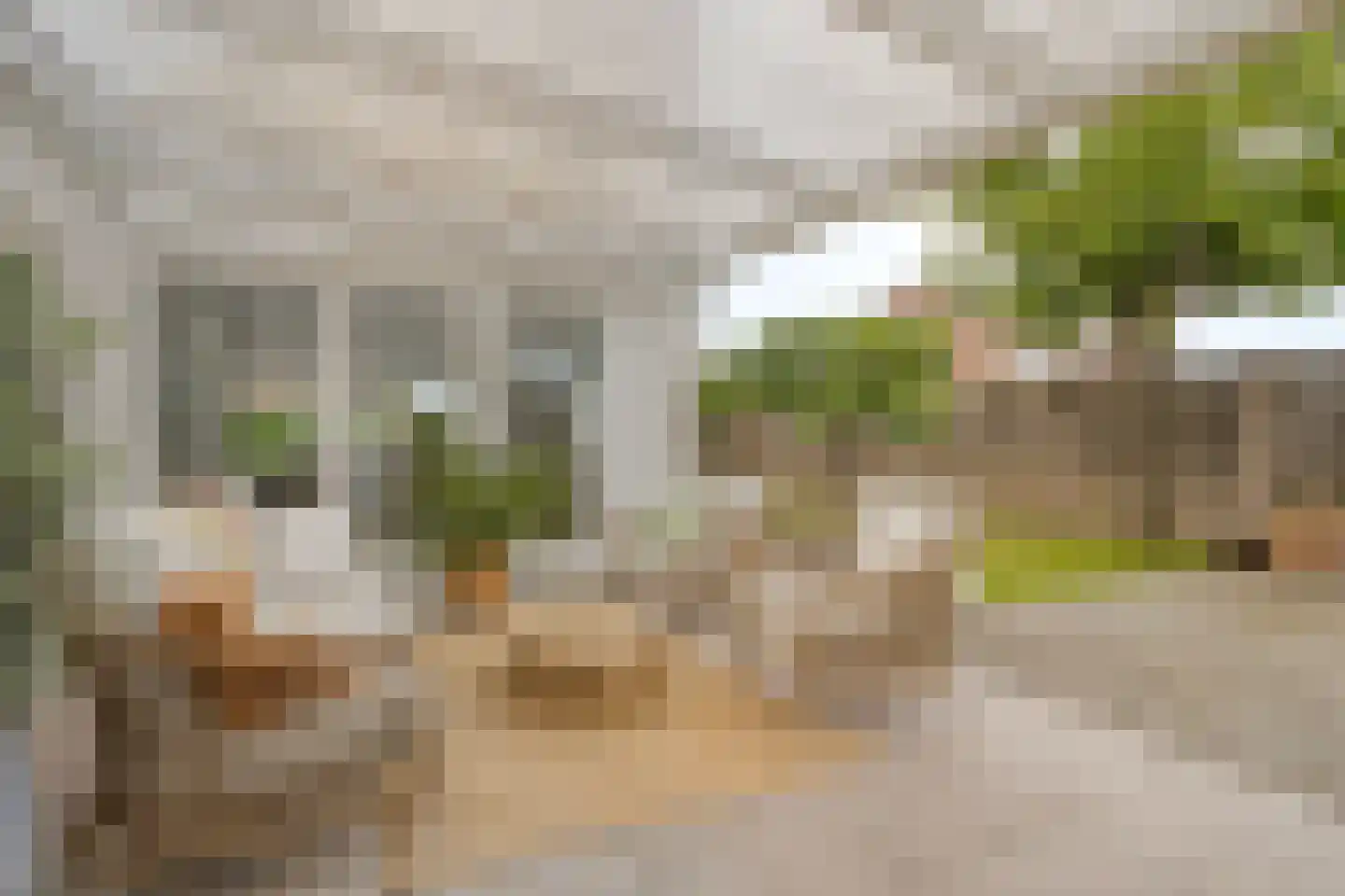 Boekweitstraat 1 Nuland thumbnail 34
