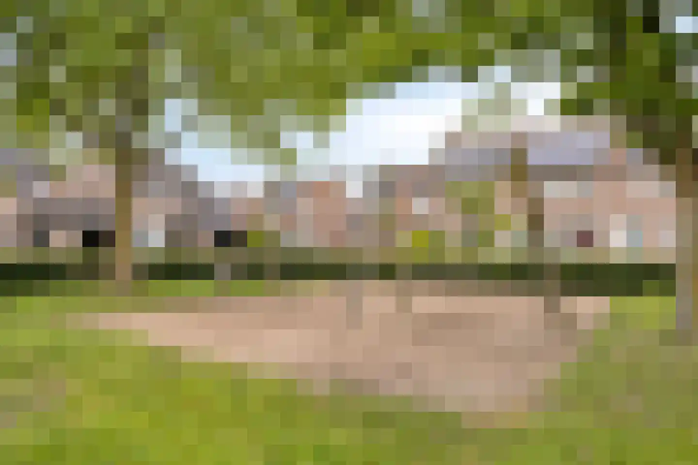 Boekweitstraat 1 Nuland thumbnail 39