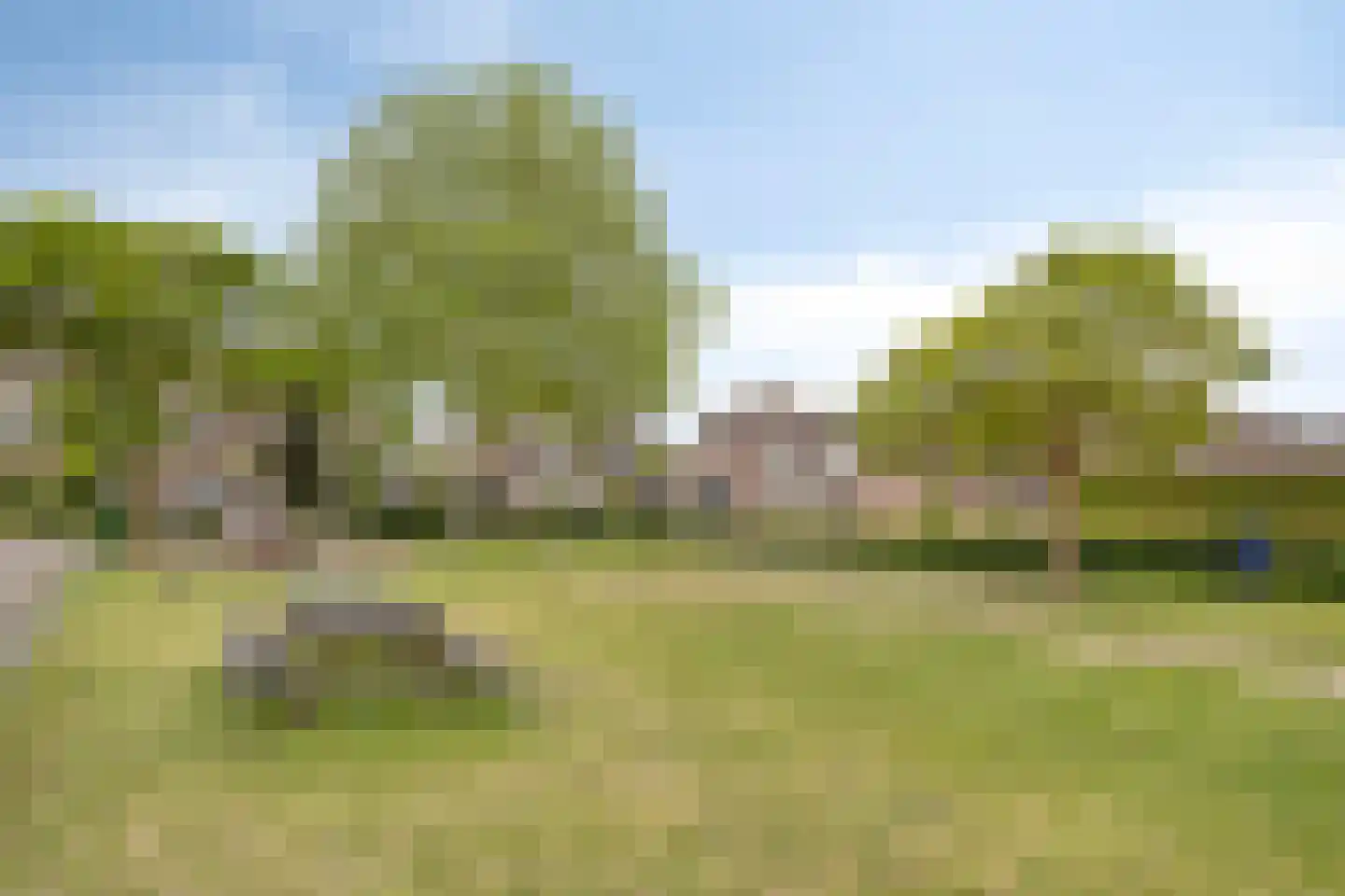 Boekweitstraat 1 Nuland thumbnail 41