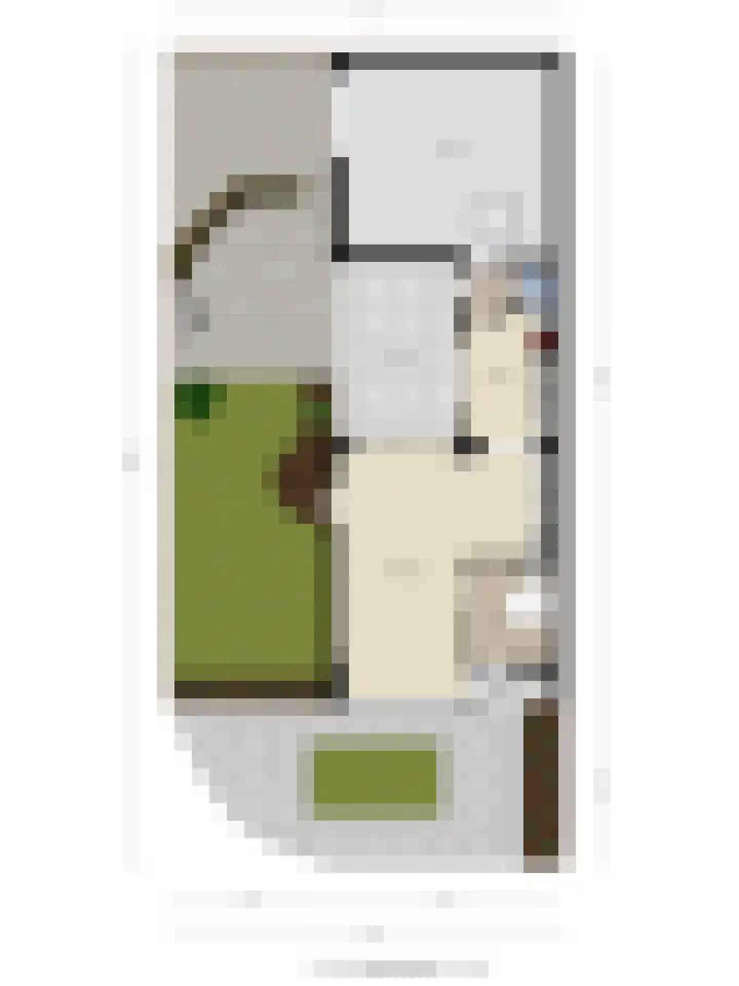 Boekweitstraat 1 Nuland thumbnail 43