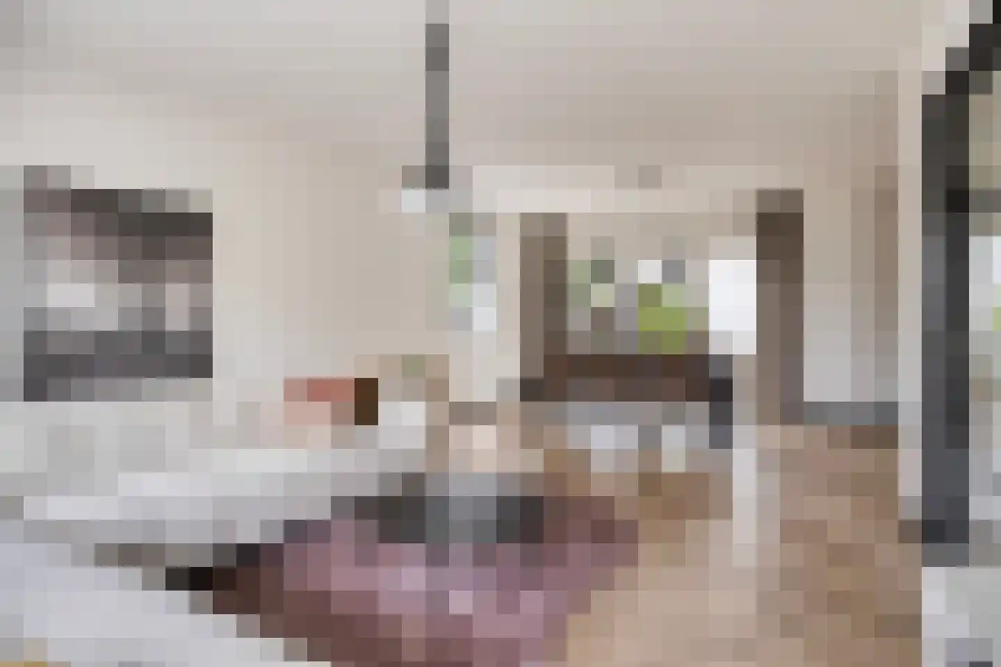 Boekweitstraat 1 Nuland thumbnail 6