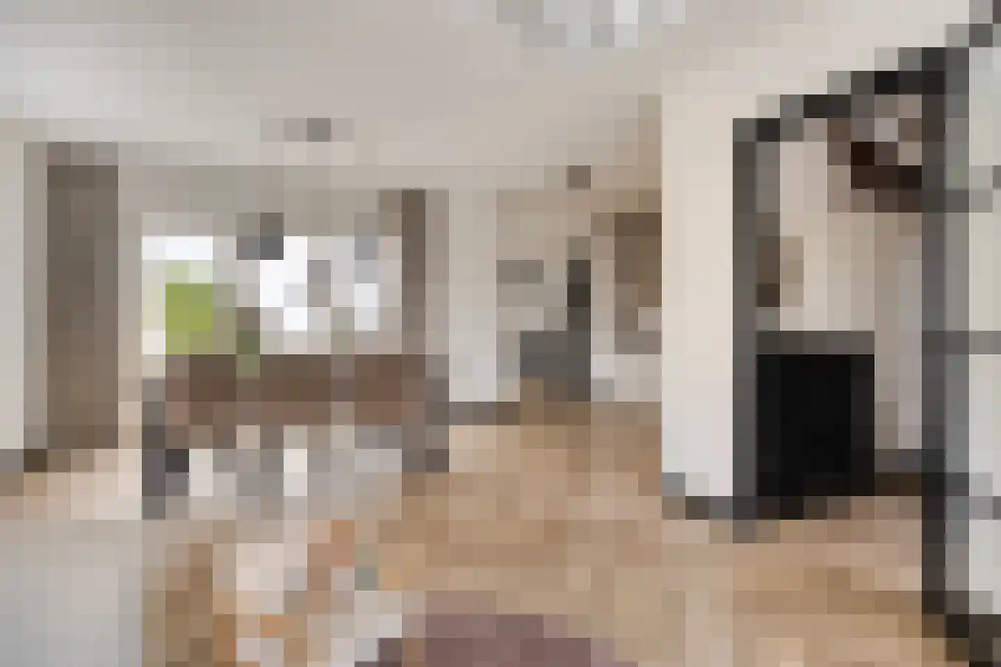 Boekweitstraat 1 Nuland thumbnail 8