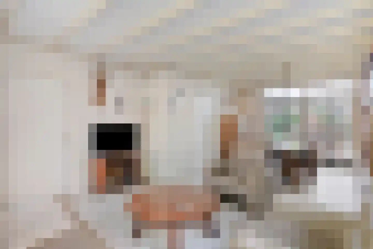 Boekweitstraat 1 Odiliapeel thumbnail 11
