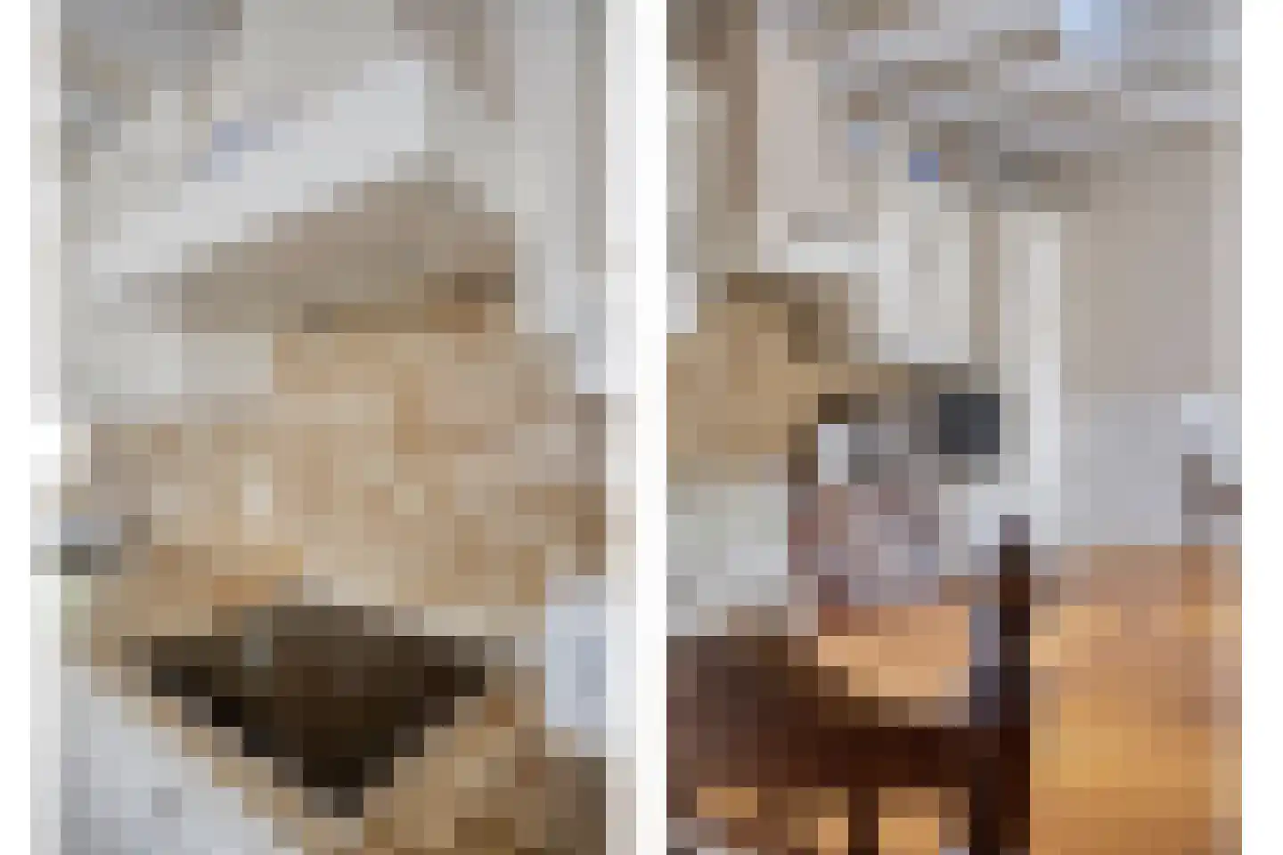 Boekweitstraat 1 Odiliapeel thumbnail 13