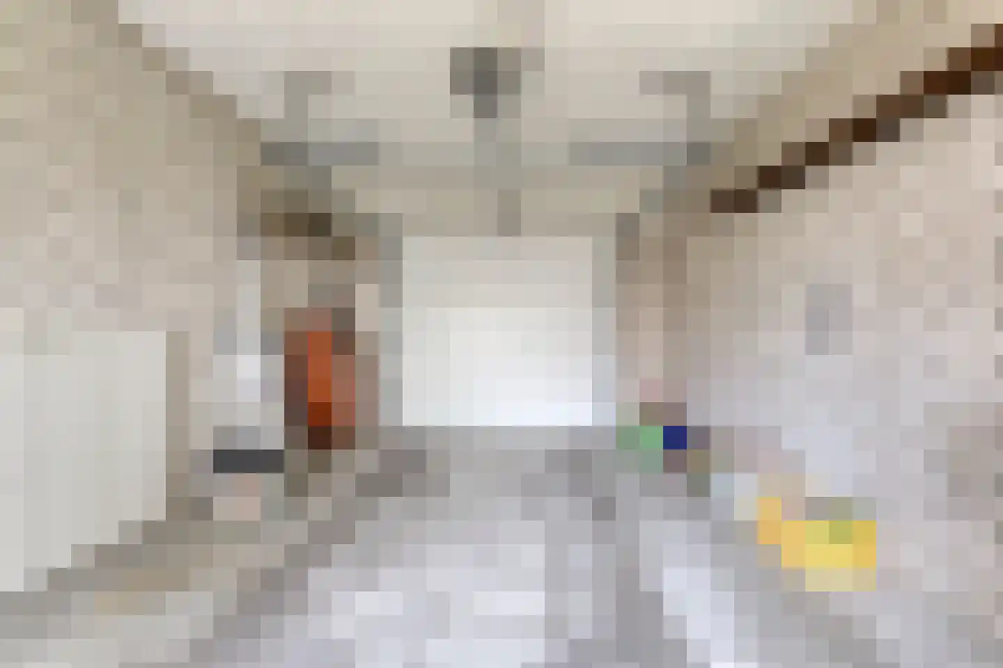 Boekweitstraat 1 Odiliapeel thumbnail 17
