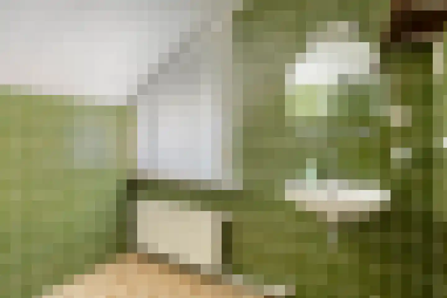 Boekweitstraat 1 Odiliapeel thumbnail 26