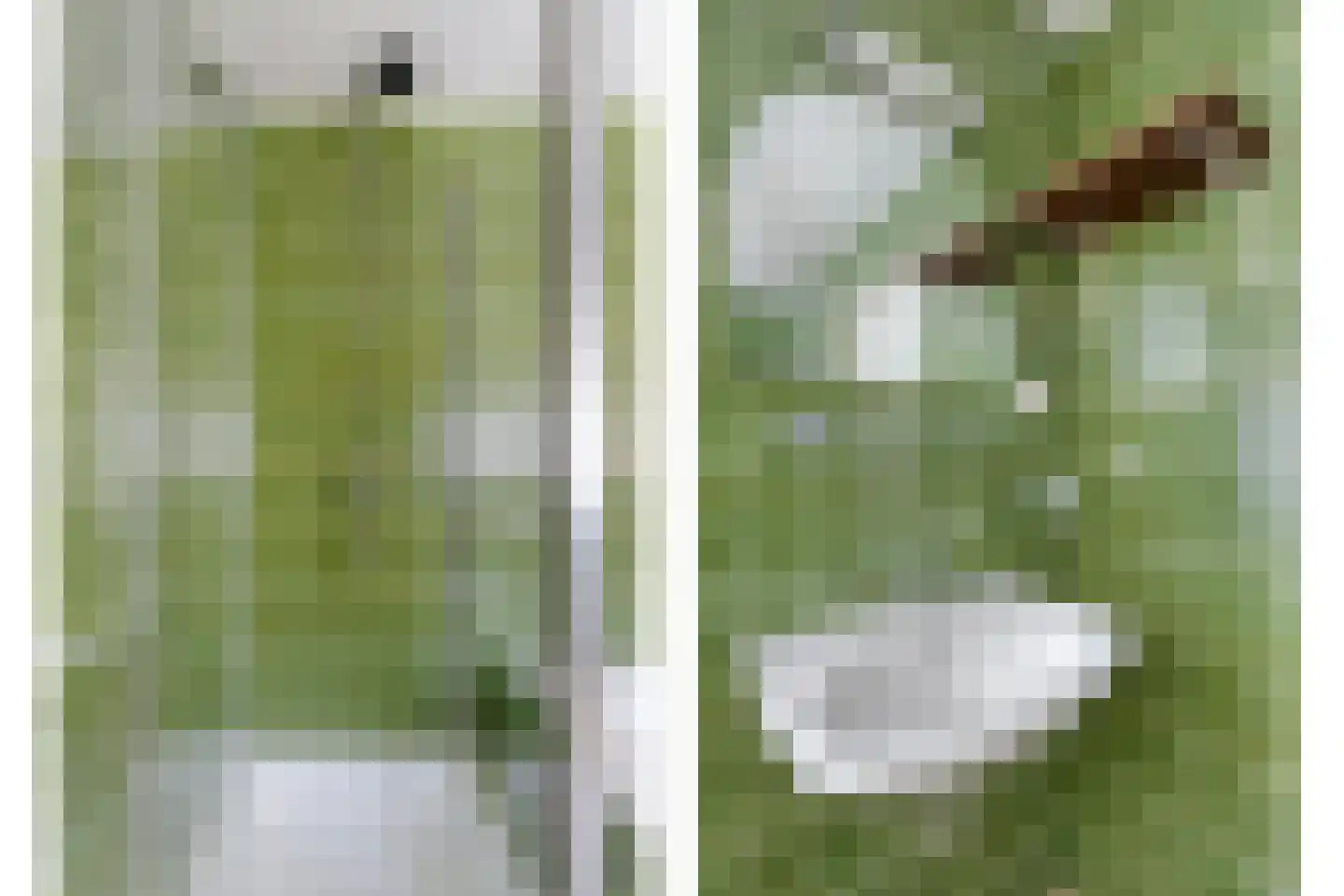 Boekweitstraat 1 Odiliapeel thumbnail 28